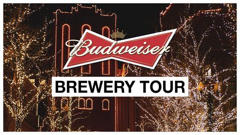 Budweiser Brewery Lights St Louis 2024 - Ulla Alexina