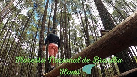 Floresta Nacional e Brasília Flona Trilha Pequi um lugar para