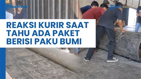 Viral Paku Bumi Dikirim Lewat Paket Para Kurir Alami Kesusahan Untuk