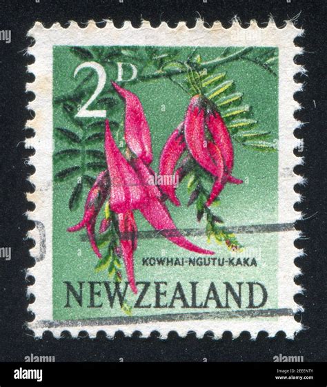 New Zealand Circa Stamp Printed By New Zealand Shows Kaka Beak