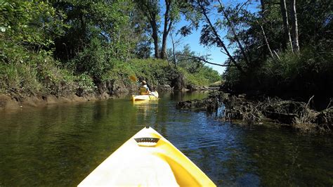 Paleo Mermaid: Kayaking - Lake Natoma - June 27, 2013