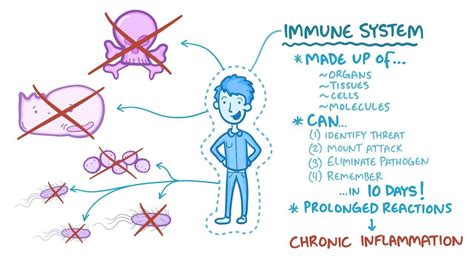 video introduction   immune system osmosis