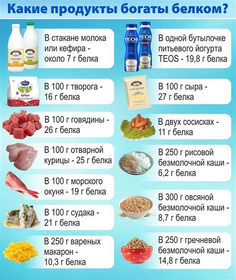 Продукты c высоким содержанием белка : 40 лучших, пища с высоким ...