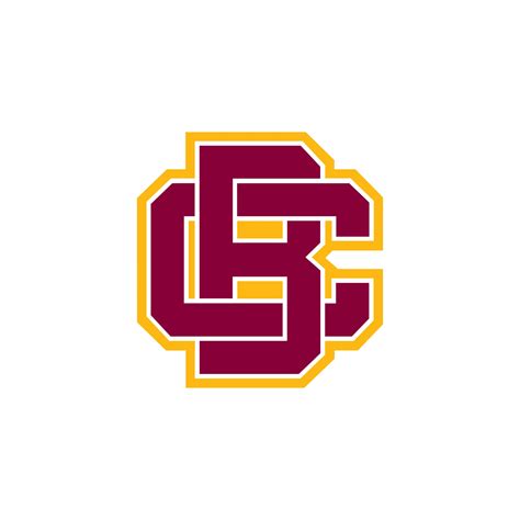 Bethune Cookman Wildcats Logo Vector - (.Ai .PNG .SVG .EPS Free Download)