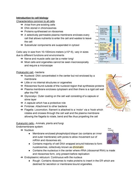 101 ALL Of Biosci 101 Notes Introduction To Cell Biology