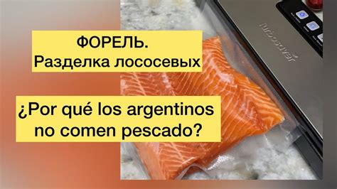 Красотка форель, мы ее заготавливаем для дальнейшей засолки и вяления ...