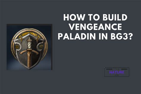 How To Build Vengeance Paladin In BG3 The Nature Hero