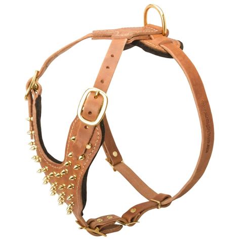 Brass Spiked Leather Dog Harness For Fashion Walking H9b1133 Leather