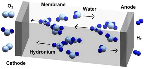 1 Schematic Illustration Of Pemfc Download Scientific Diagram