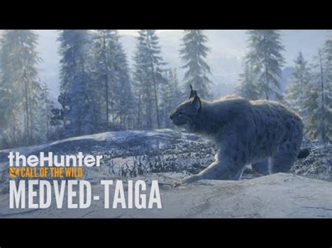 Medved Taigathe Huntercall Of The Wild Youtube