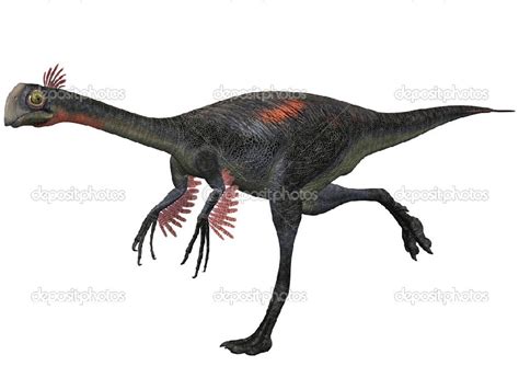 Gigantoraptor Pictures & Facts - The Dinosaur Database