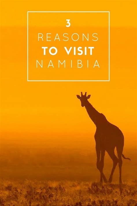 3 Reasons To Visit Namibia Now Namibia Africa Travel Pack Up And Go