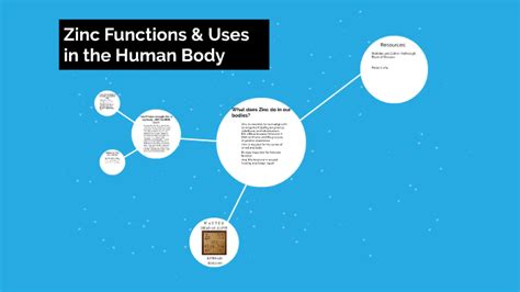 Zinc Functions And Uses In The Human By Emily Klinglesmith