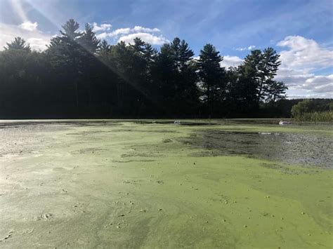 Pepperell Pond North Nashua River