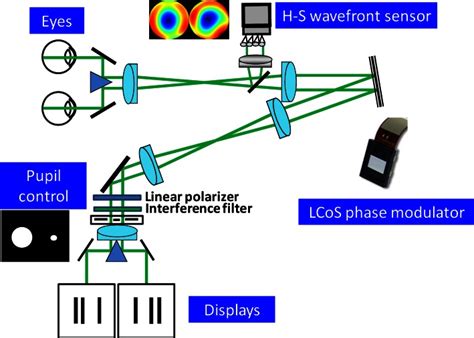 Schematic Diagram Of The Binocular Adaptive Optics Visual Simulator