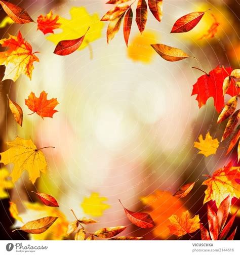 Autumn background with beautiful falling leaves - a Royalty Free Stock ...