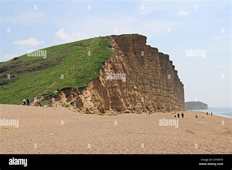 East Cliff And Beach At West Bay Bridport Jurassic Coast Dorset