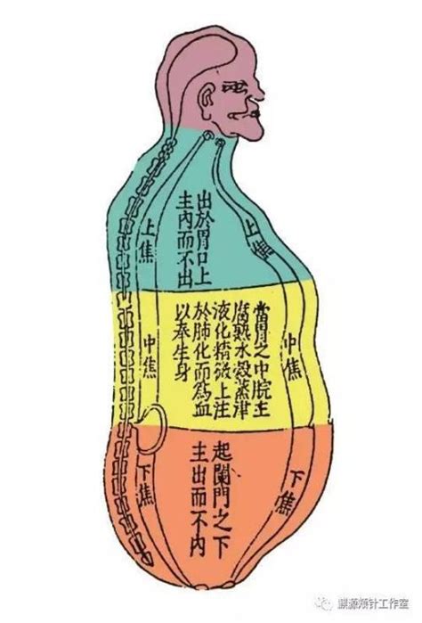 六腑图册360百科