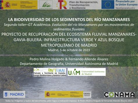 PDF LA BIODIVERSIDAD DE LOS SEDIMENTOS DEL RÍO MANZANARES Segundo