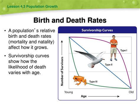 Ppt Levels Of Ecological Organization Powerpoint Presentation Free Download Id3786013