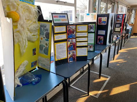 Science Fair Winners Announced - Twizel Area School