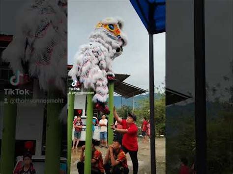 Lion Dance Malaysia Sabah Persatuan Tarian Singa Naga LING ZHEN 年初二