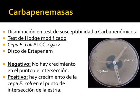 Mecanismos De Resistencia Bacteriana A Antimicrobianos Ppt