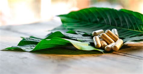 Kratom Tips Best Ways To Take Kratom My Kratom Club