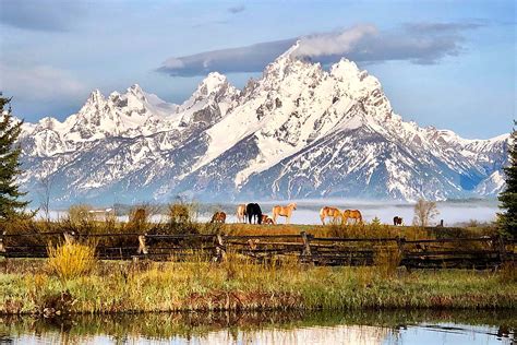 Moose Head Ranch Rustic Vacations