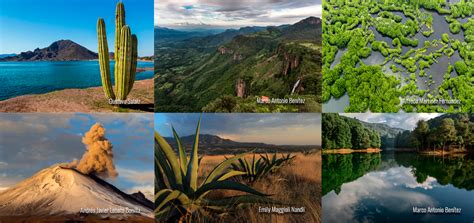 Prioridades Globales Biodiversidad Mexicana