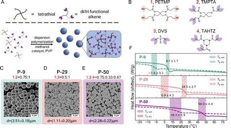 Particle Synthesis Scheme And Characterization By Sem And Dsc A Download Scientific Diagram