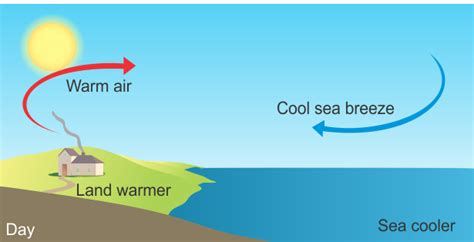 Explain Sea Breeze And Land Breeze With The Of A Diagram