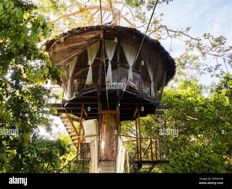 Glamping Accommodation In The Amazon Rainforest Wooden Treehouse