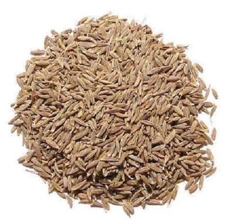 Brown Raw And Dried Earthy And Warm Taste Commonly Cultivated Cumin