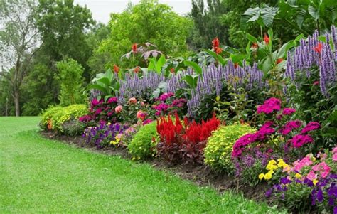 Comment créer un joli massif de fleurs pour décorer le jardin ou l