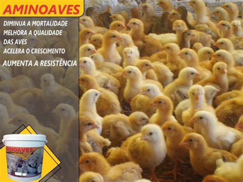 Núcleo Frango Crescimento Engorda Postura Aminoaves 25kg