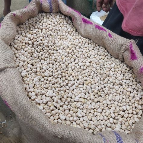 Indian White Kabuli Chana High In Protein At Rs 120 Kg In Bengaluru