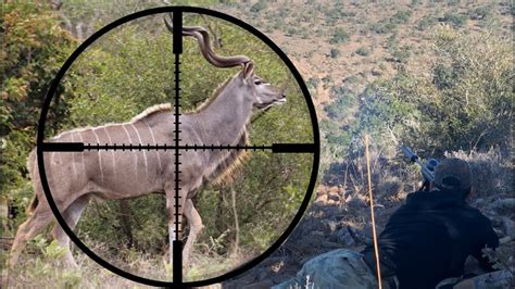 Long Range Kudu Hunt Awesome Long Range Kill South Africa Hunting