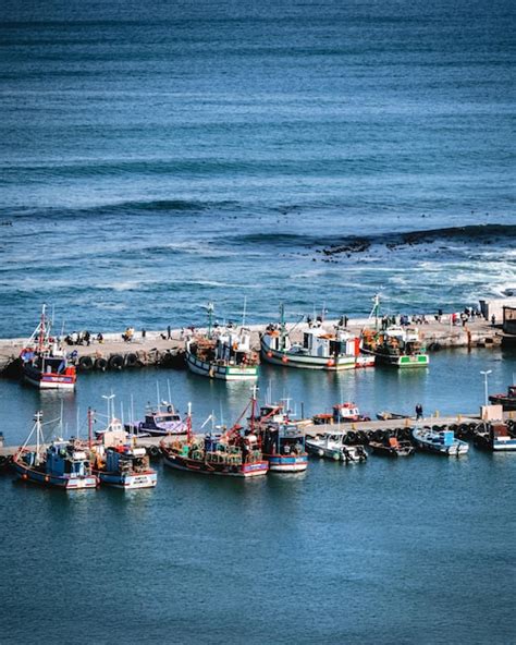 Premium Photo Kalk Bay Harbour Scene
