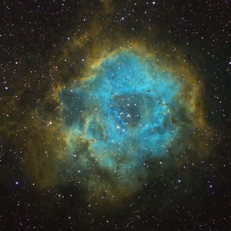 The Rosette Nebula Ngc 2244 In Hubble Palette Telescope Live