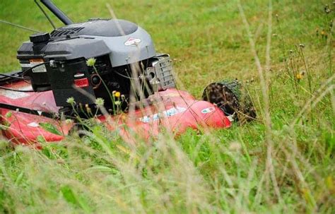 Lawn Mower Valve Adjustment Symptoms: Top 5 and How To Fix Them