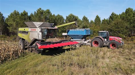 Ensemble Dexception à La Récolte De Maïs New Claas Lexion 8700 Capello 10 Rangs Youtube