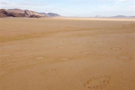 Cient Ficos Espa Oles Arrojan Luz Sobre El Misterioso Origen De Los