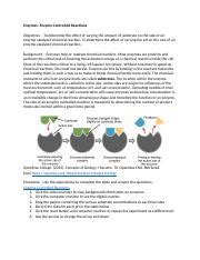 Enzymes Lab Docx Enzymes Enzyme Controlled Reactions Objectives To