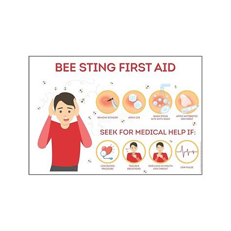 Anne Print Solutions® Bee Sting First Aid Vinyl Sticker Without Frame