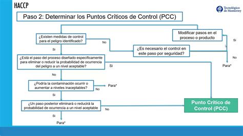 5 Principio 2 Determinar los puntos críticos de control YouTube