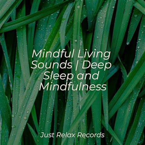 Amazon MusicでChillout Lounge Kinderliedjes Healing Yoga Meditation