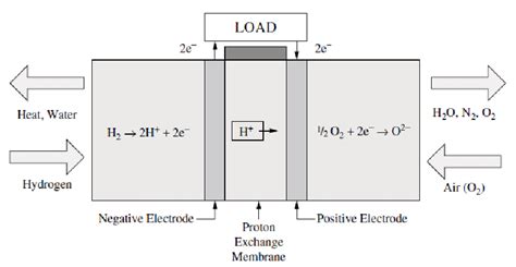 The Polymer Electrolyte Fuel Cell Pemfc Download Scientific Diagram