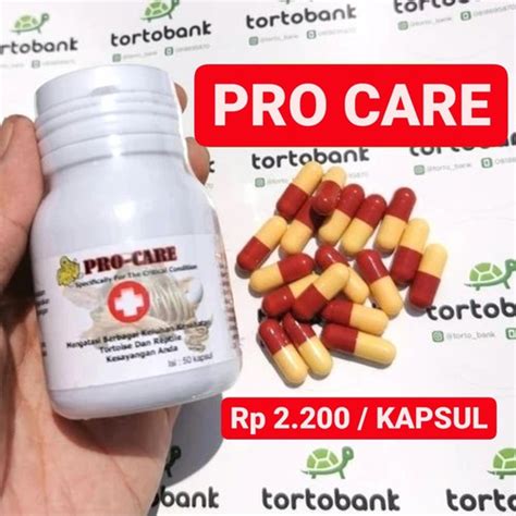 Jual ECERAN OBAT PRO CARE OBAT PILEK KURA OBAT KURA OBAT REPTIL