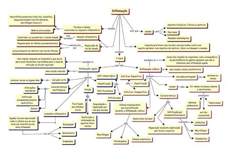 Mapa Mental Sobre Inflamaci N Lu Za Beckenkamp Udocz